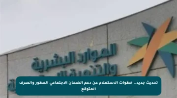 تحديث جديد.. خطوات الاستعلام عن دعم الضمان الاجتماعي المطور والصرف المتوقع